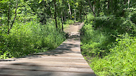 Porterhouse - Wooden Bridge