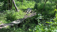 Porterhouse - Stone Bridge and Roll In