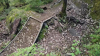 Organ donor drops and jumps