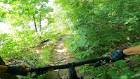This Is Why You Pay Attention to the Trail