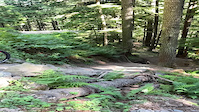 Panic Brake on Lower Predator Entrance