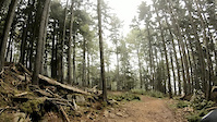 Dream Weaver Trail_Below Entrance