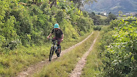 Chanda tower trail