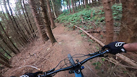 Stripes | Guisborough | Crash