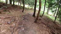 Černý trail Říčky- spodní část