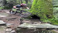 Steep technical section in Pablo's Honey trail