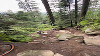 Steep technical section in Pablo's Honey trail