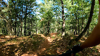 JT bike Adventures