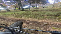 Trying to Rip the Gnar on Lumpy Bumpy