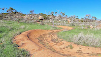 Elijah wipes out at Echidna Park