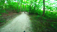 Root Rebounder downhill