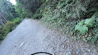 Biking with Bear.