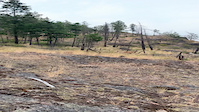 View of the resevoir