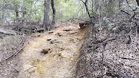 Northshore Save