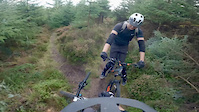 Off the saddle, Yair Forest, Tweed Valley,...