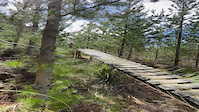falling off wooden feature