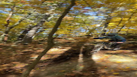 Highland secret trail crash