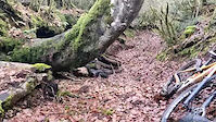 Desobeiertiko pagoa