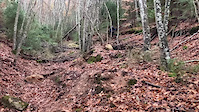 Salto batzuk