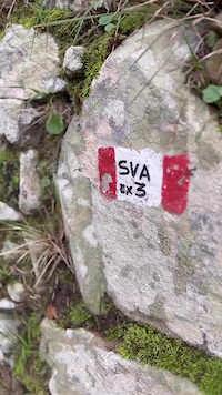 Trail Running in Cinque Terre