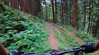 Gradisnik trail