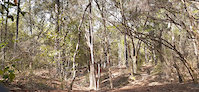 Nayls North Trail