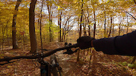 Muddy Paws Berms