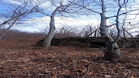 Salto del Bunker