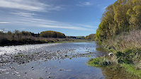 Whitestone River Access Point