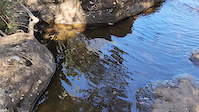 St.Helena Walking Track