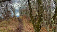 Ruby Slippers Trail
