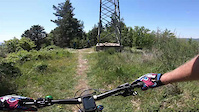 Puppe a pera, Mt. Morello (FI), 06-05-2023