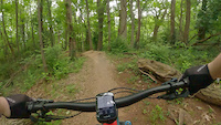 Party in the Woods Crash
