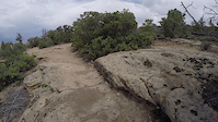 Wire Mesa - Option 1