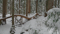 CBC photo shoot snow