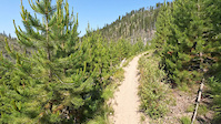 Loon Lake From Lake To Trailhead