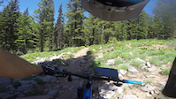 Stump Hollow.1