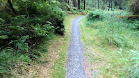 Drunken Druid at Nant yr Arian