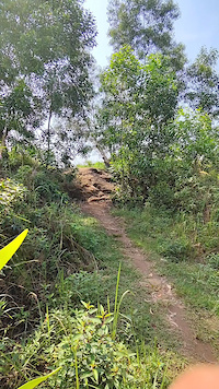 Bukit Batu JPG Trail Park