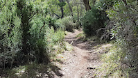 Thredbo River
