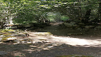 First trail