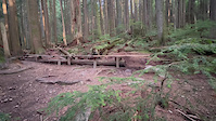 The Discombobulator - Mt Fromme