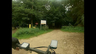 Żółwik