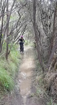 Westerfolds park discount mountain bike trails