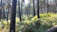 Partenza trail Bagun