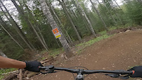 First time riding the vein