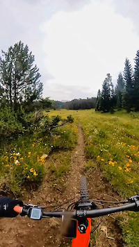 Trail Eth Sanglier