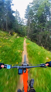 Short Eth Taro Trail