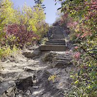 Staircase Hat Rick - Edworthy Park