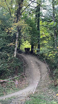 Big crash on final run